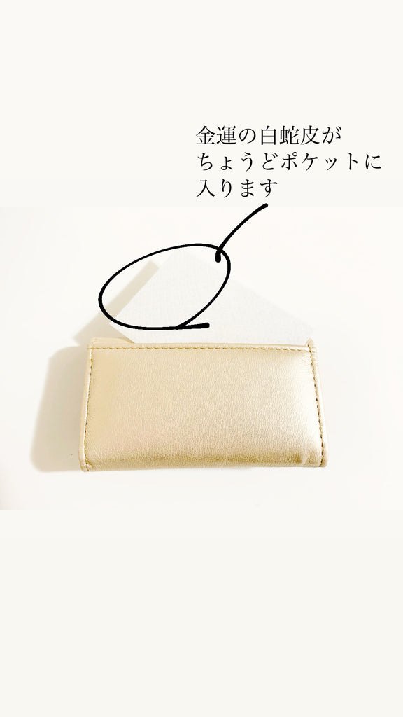 【大きな金運を呼び込む】春財布の鍵入れ(キーケース)