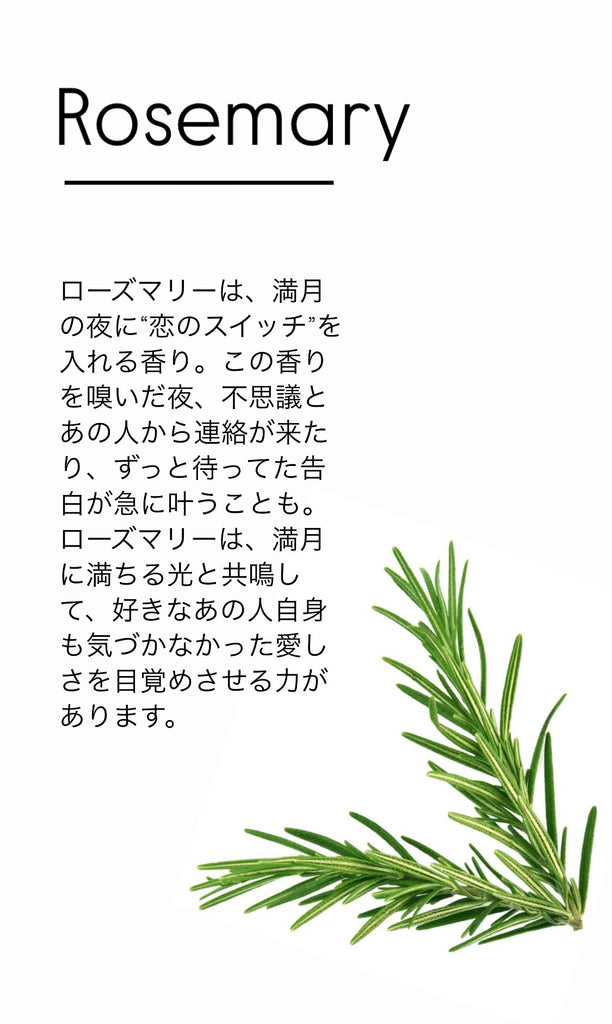 【Lサイズ】【満月】フルムーンリング*