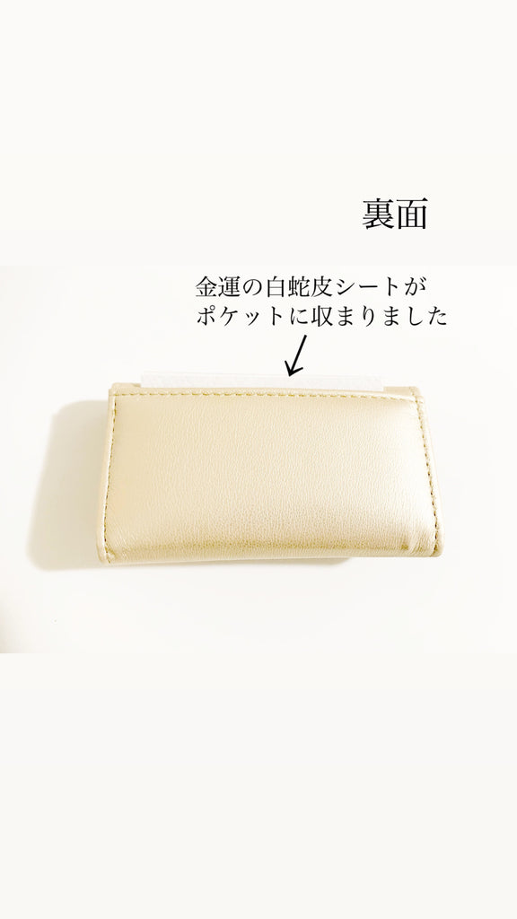 【大きな金運を呼び込む】春財布の鍵入れ(キーケース)