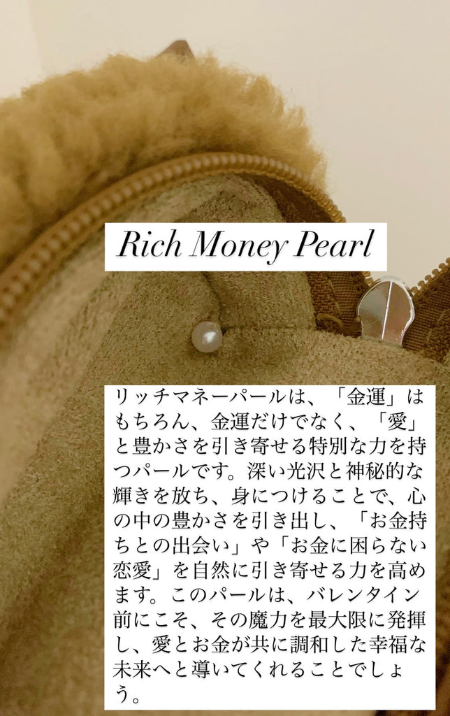 【2つのストーン付き】【リッチマネー】ふわふわソフトミニバッグ (Brown)*