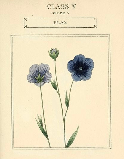 会いたい人に会えるブレスレット*(native american flower)