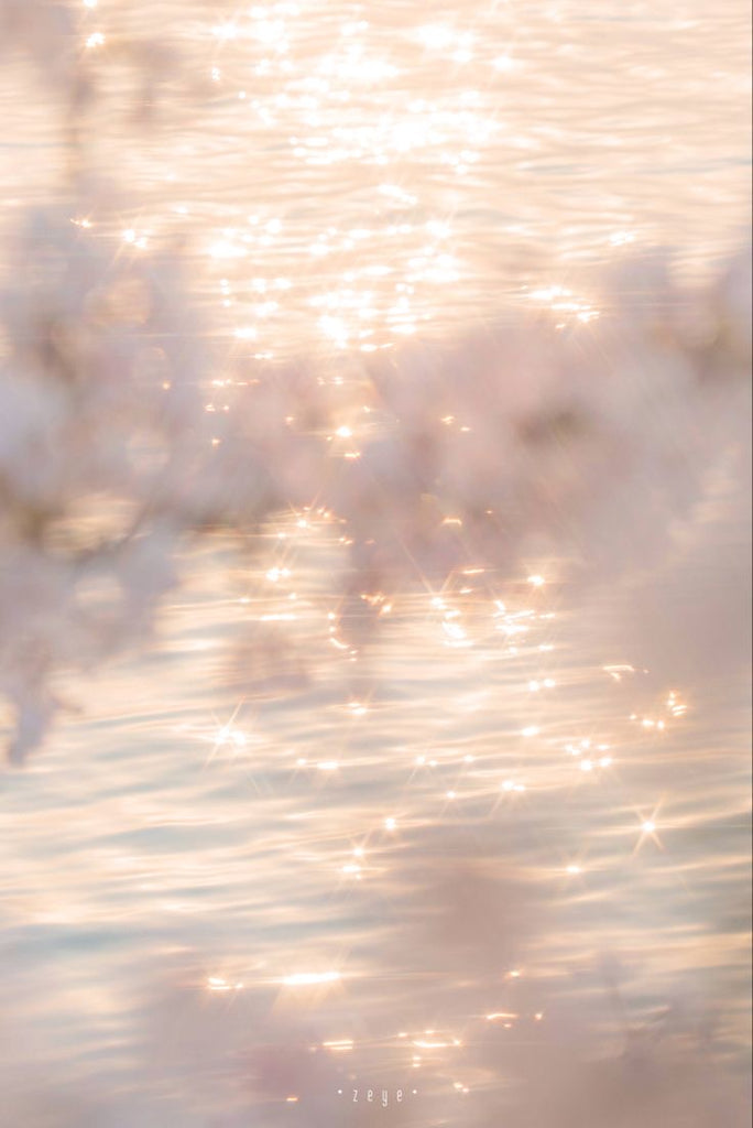 【桜・金運風水】サクラマネーヘアゴム*