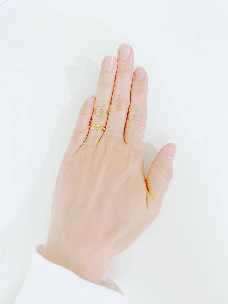 ¥3990【diamond】(星座リング) 5.獅子座(2025年プチ占い付)