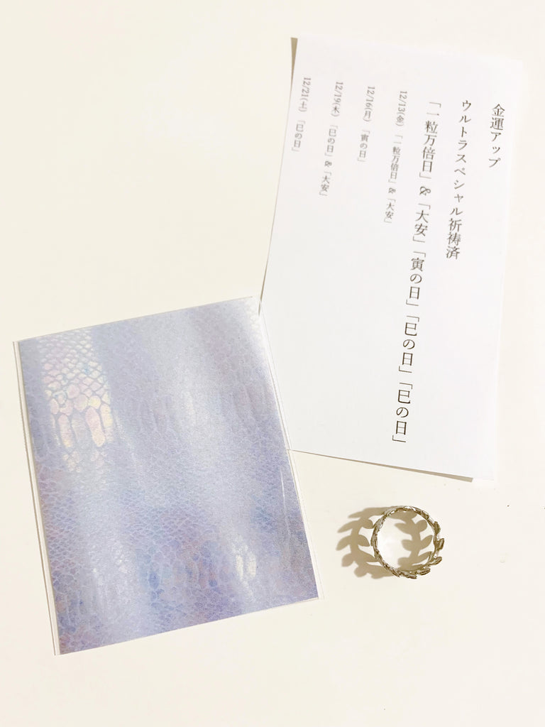 【最強金運祈祷済】(金のなる木の葉) マネーピンキーリング*白蛇シート付(silver)*