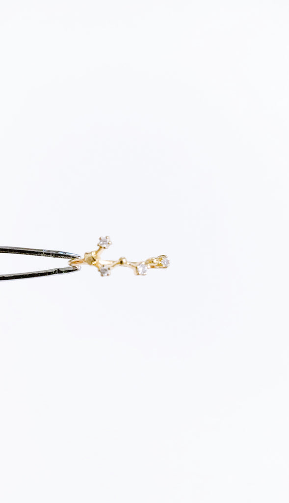 ¥3990【diamond】(星座リング) 2.牡牛座(2025年プチ占い付)