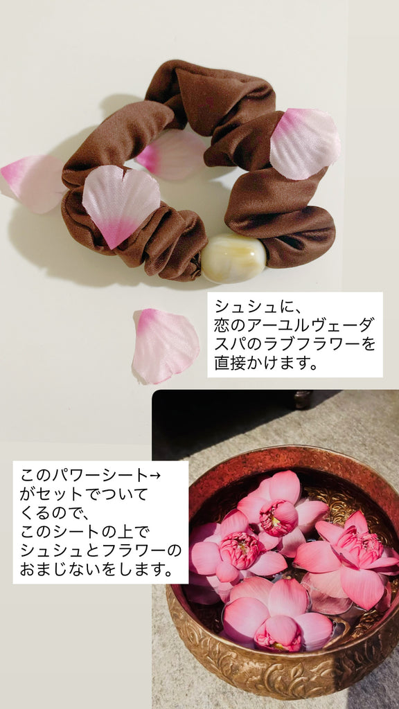 【3日以内に動く】 Bain d’Amour Chou Chou