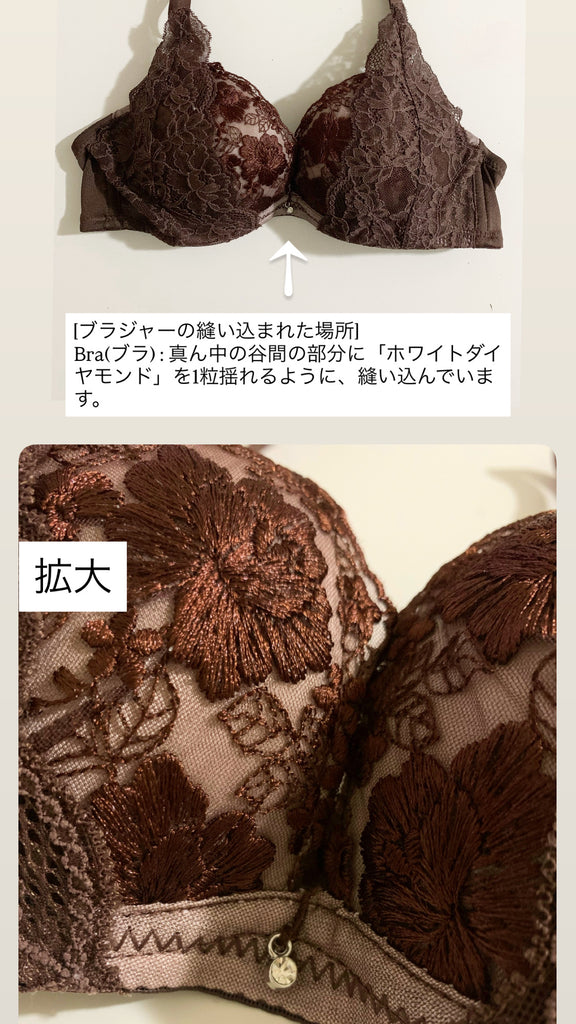 [復縁]　チョコレートブラ+パンツセット*