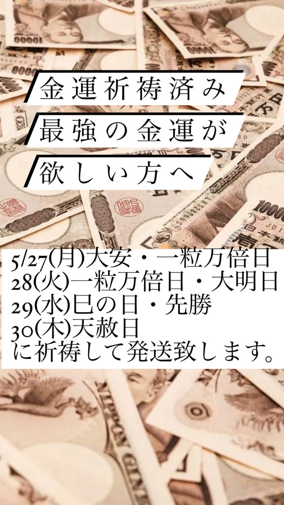 [大金運祈祷後に発送]【貯めたい方専用】通帳フロストギベオン隕石リング* (simple)