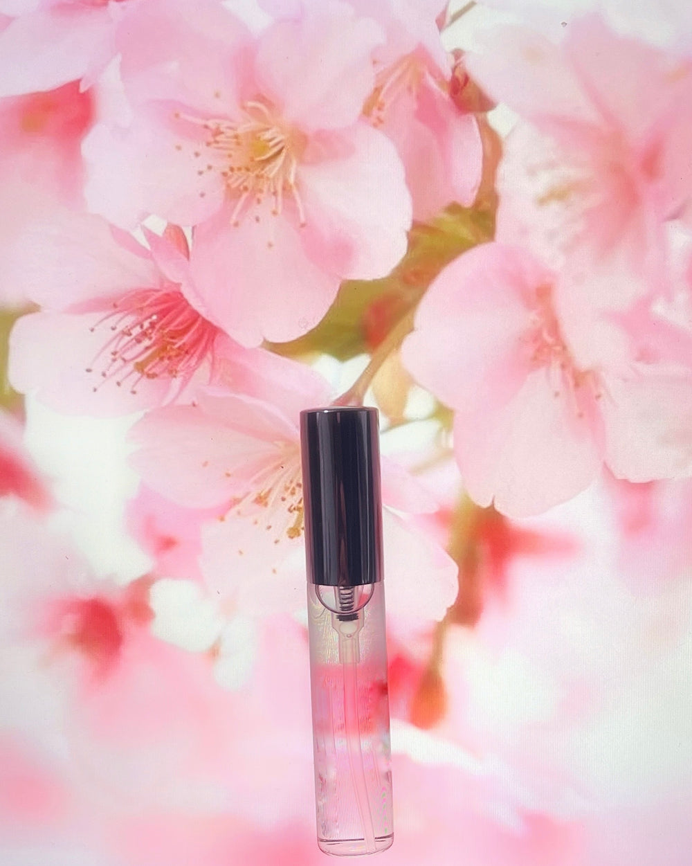 【ラスト１本】【春から爆モテ注意】[ Premium No.6 ] love flavor サクラ**