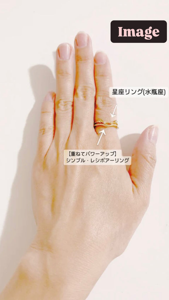 ¥1990[星座リング]  1.牡羊座 [2025年プチ占い付]simple*