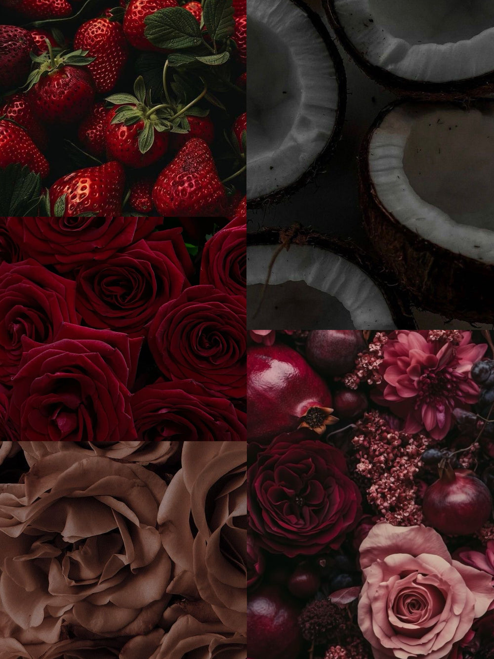 【限定2個】【小悪魔の媚薬インセンス】ヴァチカン特別調香エディション5種セット