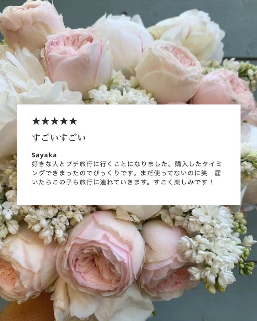 《約¥5000 OFF》【逆転を起こす】復縁のブライダルローズ*パールストラップ(bridal-rose-pearl-strap*)