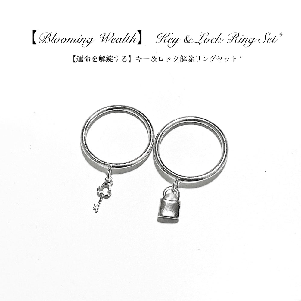 【運命を解錠する】キー＆ロック解除リングセット*