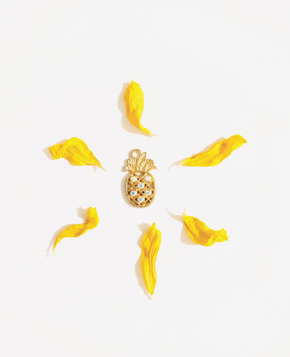 【金運UP】[夏至] パイン・マネー・チャーム