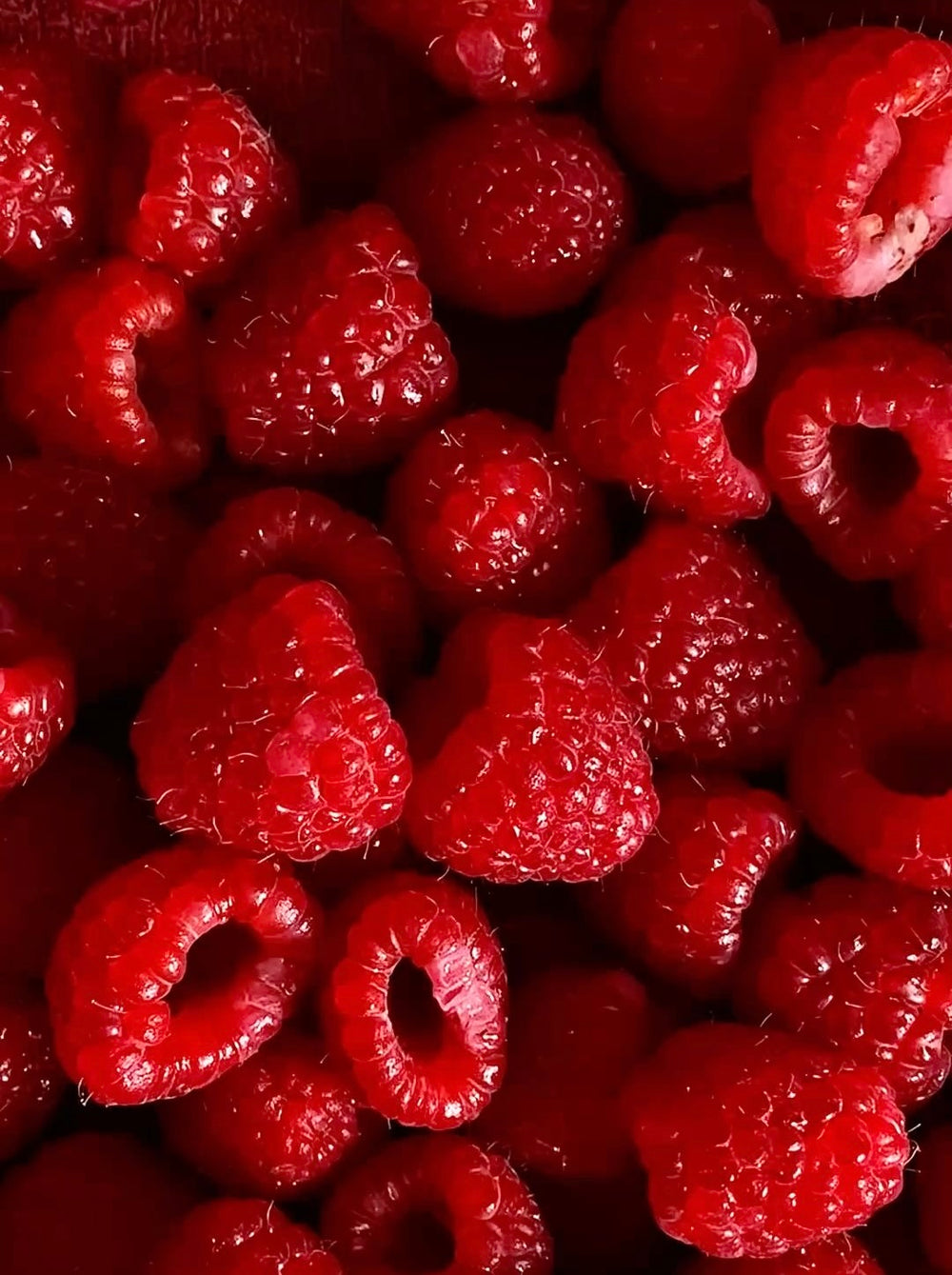 【 小悪魔 】No.2 ベリーフランボワーズ ( Bérry Framboise )