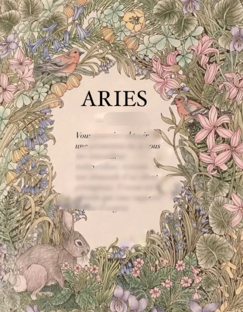 ¥3990【diamond】(星座リング) １. 牡羊座(プチ占い付)