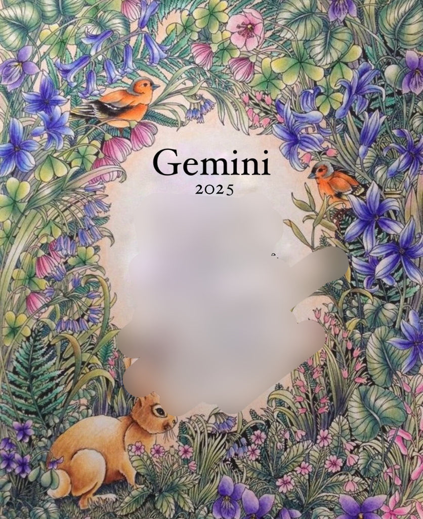 【3.双子座】星座ネックレス(diamond)*[2025年プチ占い付]