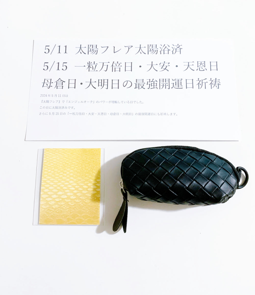 【大金運を呼び込む】春財布の小銭入れ(印鑑ケース)