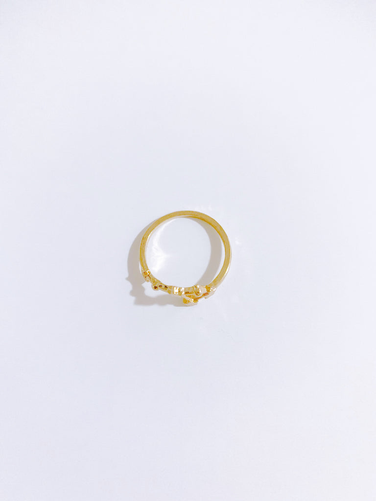 ¥1990[星座リング]  2.牡牛座 [2025年プチ占い付]simple*
