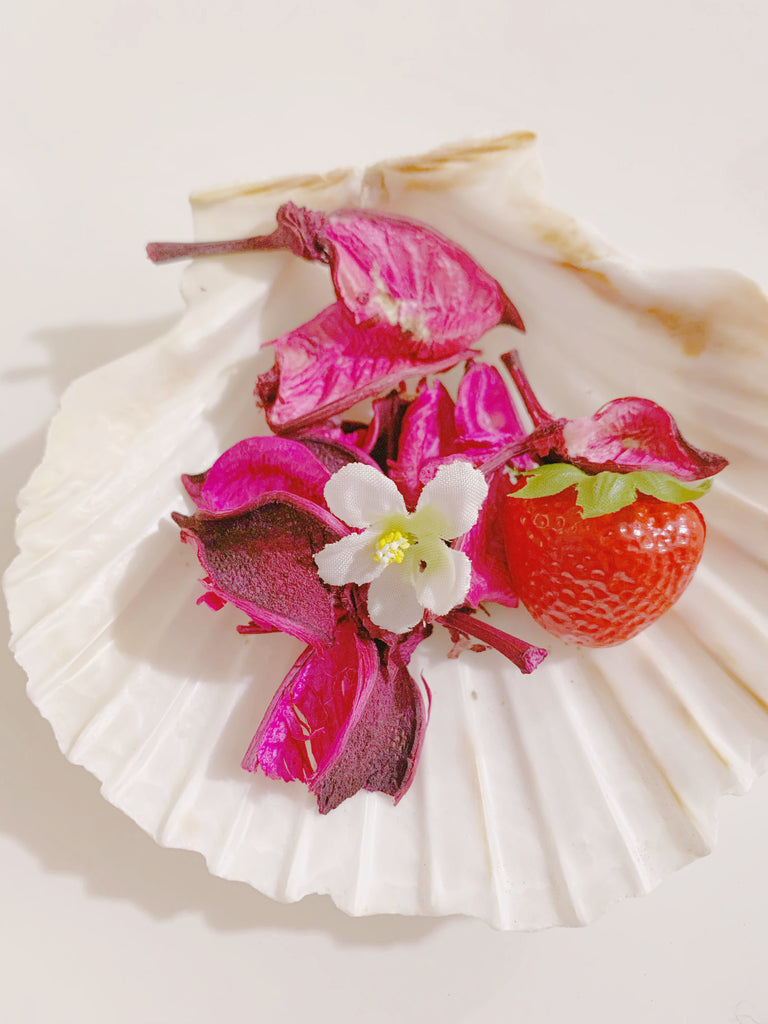 【一戸建て購入を引き寄せる】 Strawberry Home Aether Set