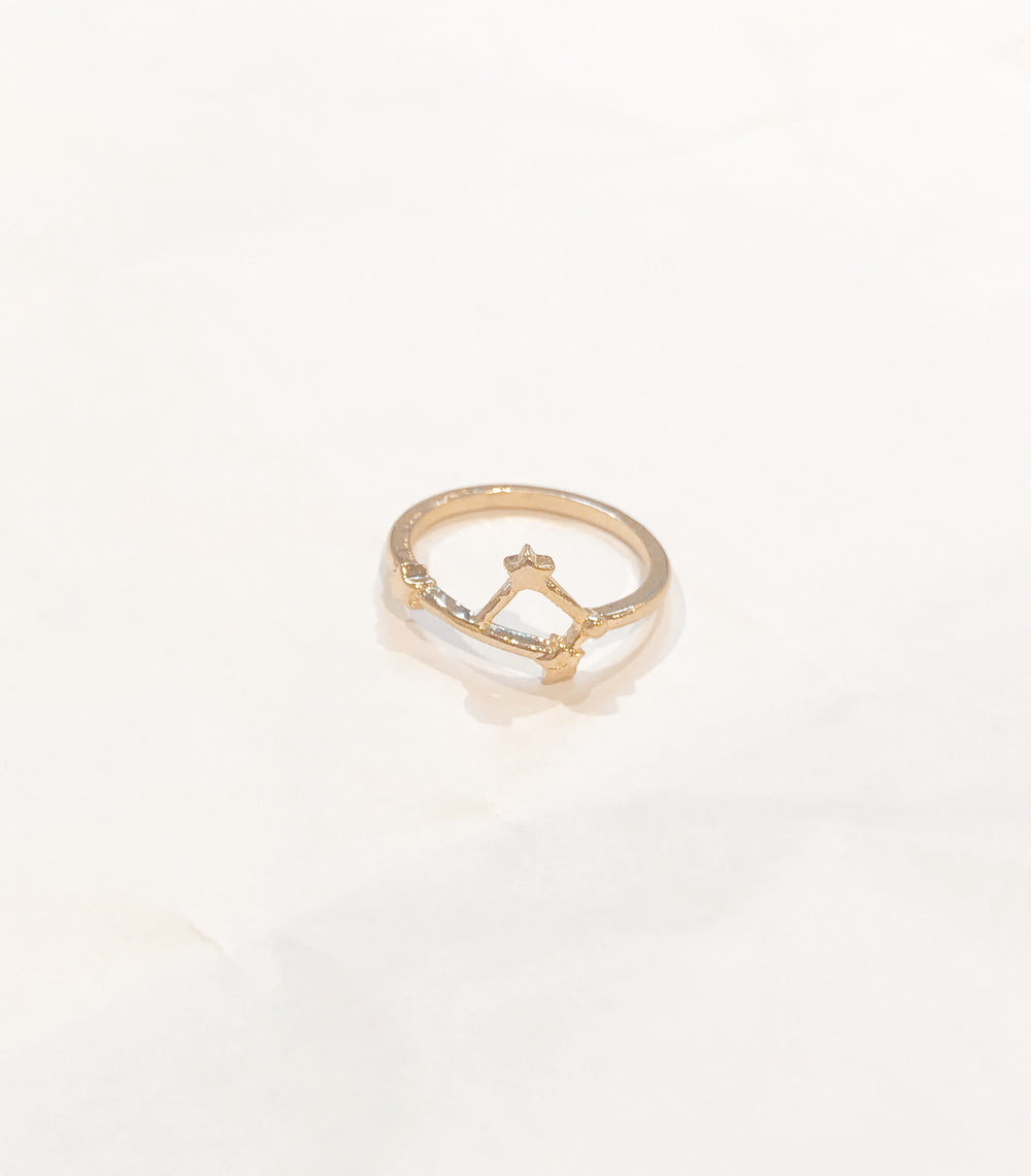 ¥1990[星座リング]  1.牡羊座 [2025年プチ占い付]simple*
