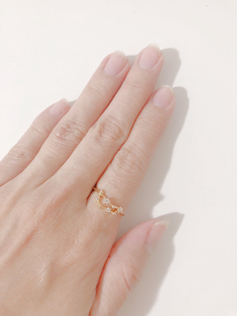 3999【diamond】(星座リング) 10. 山羊座(2025年プチ占い付